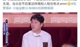 圈内爆料靳梦佳,揭秘娱乐圈不为人知的幕后故事